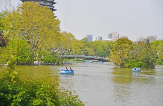 4月4日在红梅公园内拍下的市民游玩场景。高岷/摄