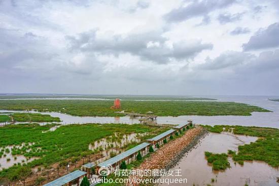 除了风车外,独特的滩涂风光和人文景观让其成为摄影人追逐的拍摄胜地。