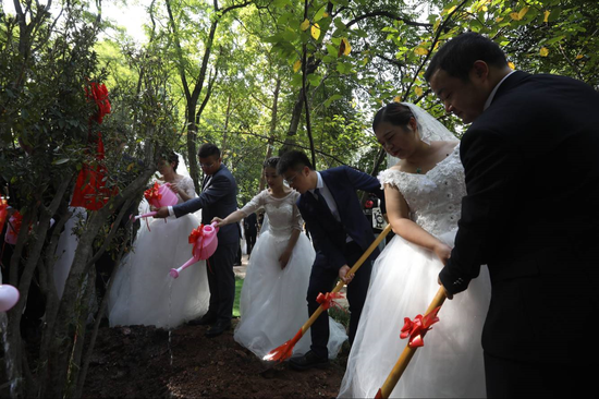 全国烈士纪念日 80对新人在南京雨花台献花缅怀先烈