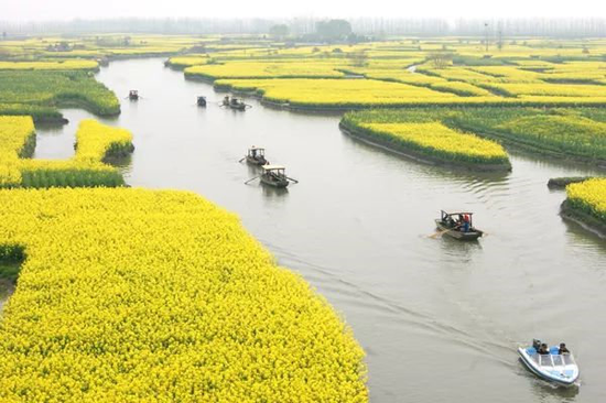 【水润兴化 如诗如画】2019中国·兴化千