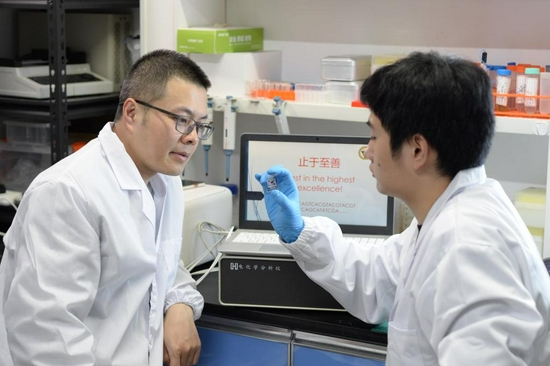 图为东南大学生物电子学国家重点实验室刘宏教授(左)与学生观察DNA存储电极。(东南大学供图)