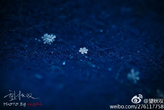 江苏人，小雪节气到，养生秘笈、滋补美食快备好~