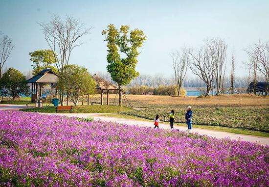 图/思想的芦苇