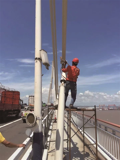 专家会诊苏通大桥  阻尼器可修复大桥结构安全