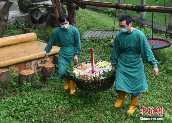 工作人员不仅为它们送上用竹叶、竹笋、苹果、胡萝卜等食材制作的“火锅”蛋糕,还将“爱学习”“爱运动”“爱美丽”“爱美食”字样纸盒给它们进行“抓周”。