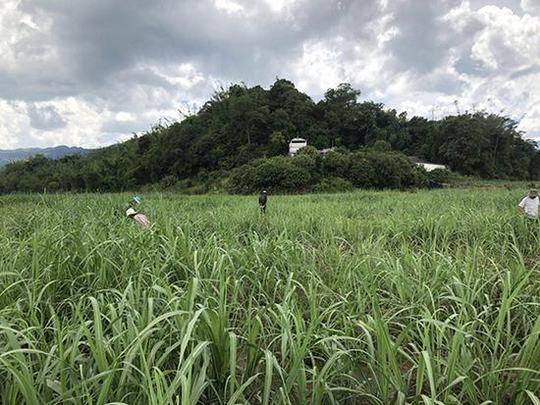 云南勐海"找到200多块陨石" 现场售价1克超2000元