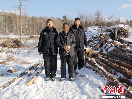 犯罪嫌疑人崔某某因涉嫌盗伐林木罪被依法刑事拘留 警方供图 摄