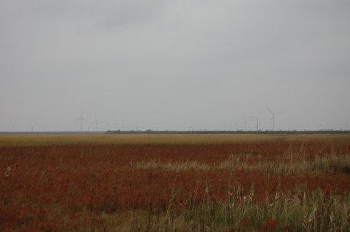 江苏严查沿海环境问题 坚决“不要污染的GDP”