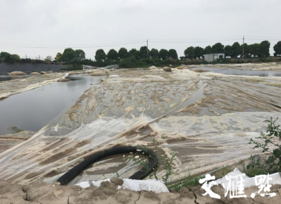 环境部通报批评泰州泰兴江边污染两年未整改
