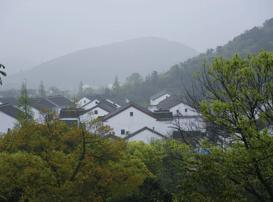 苏州树山村