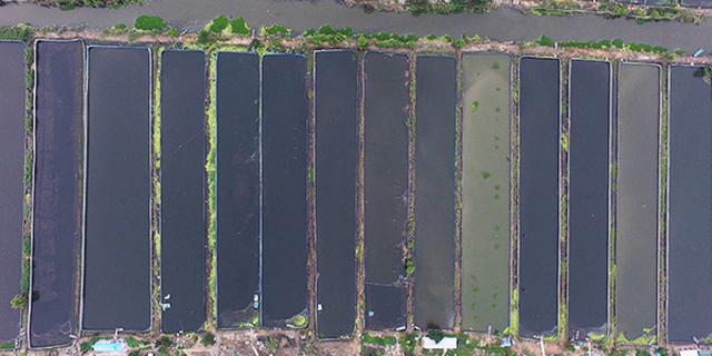 国内最严！江苏严控两大金属污染物排放