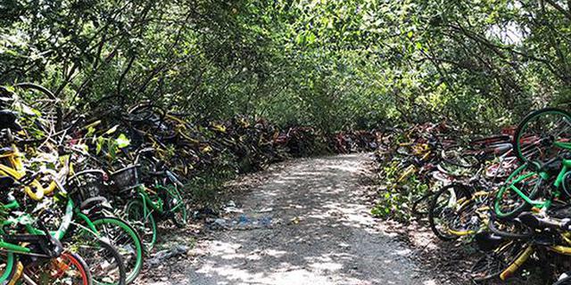 南京静龙山万辆共享单车成墓道 城管下最后通牒