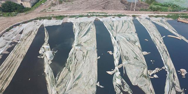 数千吨危险废物被跨省倾倒至长江 检方起诉追究25人刑责