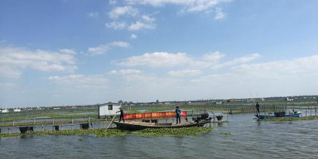 苏州连夜部署排查阳澄湖周边540家农家乐污染问题