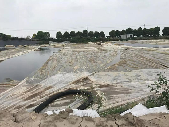 污泥池仅覆盖塑料薄膜