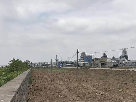 位于长江岸边的泰兴化工园区分布了多家化工厂,记者走在路上能闻到刺鼻的异味。 澎湃新闻记者 邱海鸿 图