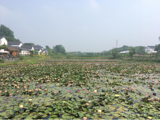 江苏贯彻落实惠台"76 条实施意见" 让在苏台胞生活更有