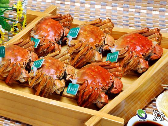 溱湖美食-簖蟹