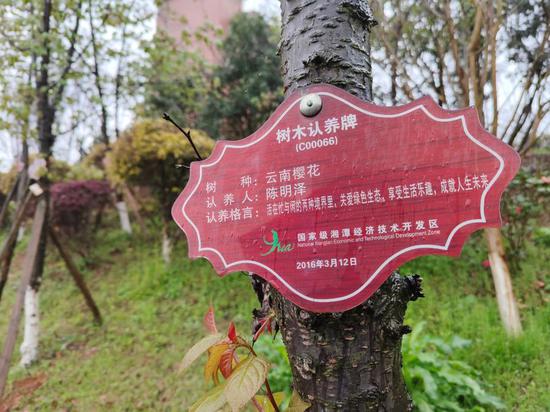 这是位于湖南省湘潭市九华德文化公园内由市民认养的树。新华社记者 周勉摄
