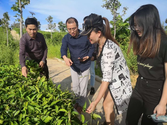 团队在鄂嘉镇老虎山茶园调研