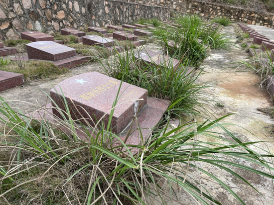 烈士公墓已是杂草丛生