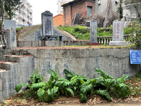 烈士墓前种上了菜