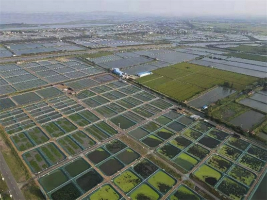 湖“里”湖“外”发展生态产业。图为利用滨湖圩区建设的大型智能化渔场,它已成为全国渔业现代化项目建设典范