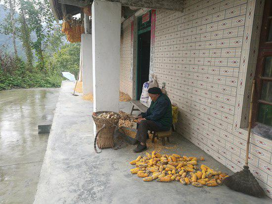 老人独死家中5子女获刑 政府刻案件光碟让全县看