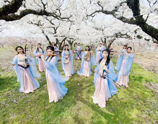 夏清-《品夏》