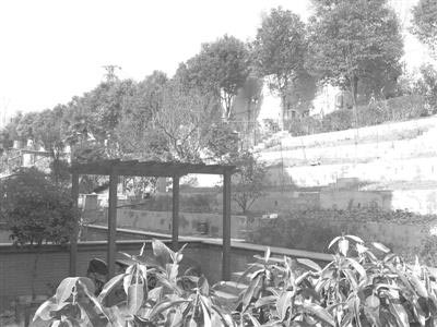 南京一高档小区存65处违建 开挖数百平地下室