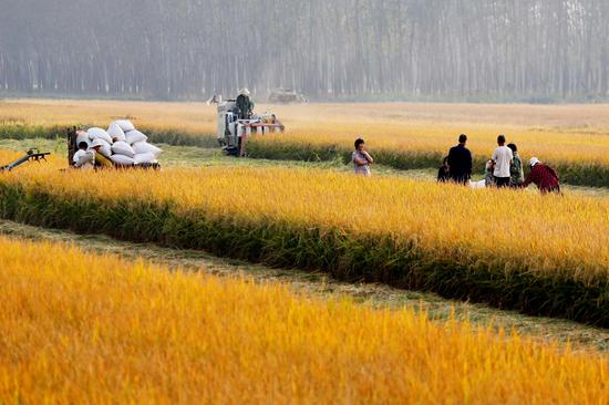 连云港市赣榆区国家现代农业示范区