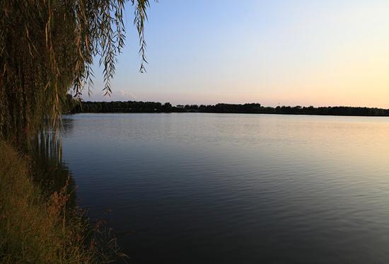 大纵湖秋景