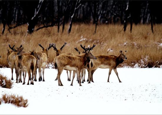冬日暖阳 温情盐城温馨盐城游
