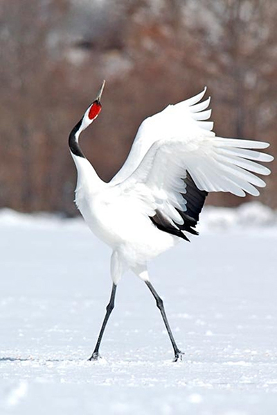 冬日暖阳 温情盐城温馨盐城游