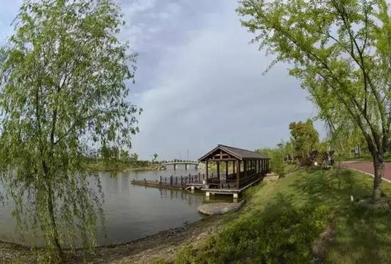 待到梅花烂漫时,与您相约盐城大丰西郊首届梅