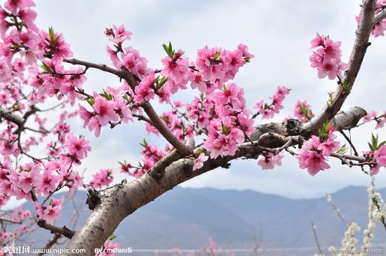 春暖花开,畅游盐城旅游系列活动精彩纷呈