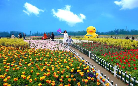 2016中国大丰麋鹿文化旅游季暨荷兰花海第三
