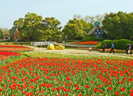 吃喝玩乐游无锡 不负四月好春光