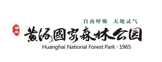 春游正当时,盐城黄海国家森林公园的森呼吸