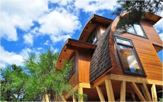 盐城东台首届森林休闲节五一开幕