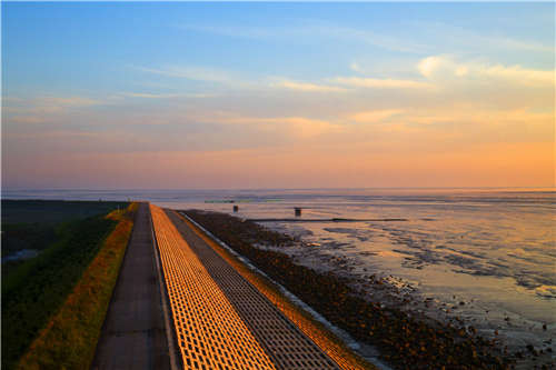 五一带你玩转盐城东台首届森林休闲节_新浪江苏_新浪网