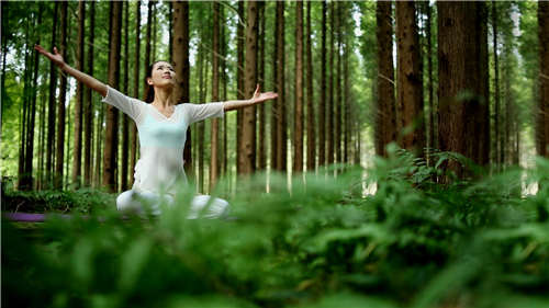 五一带你玩转盐城东台首届森林休闲节