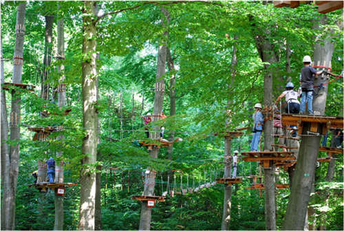 五一带你玩转盐城东台首届森林休闲节_新浪江苏_新浪网