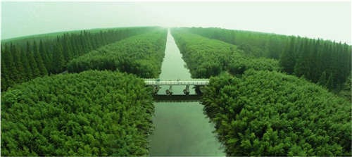 五一带你玩转盐城东台首届森林休闲节