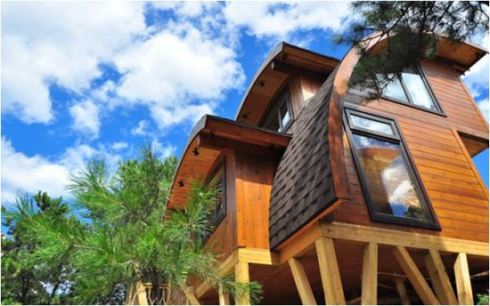 盐城五一黄海国家森林公园嘉年华欢乐呈现