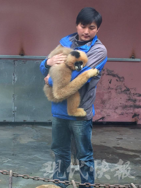 常州一动物园男饲养员被单身母猴示爱强抱(