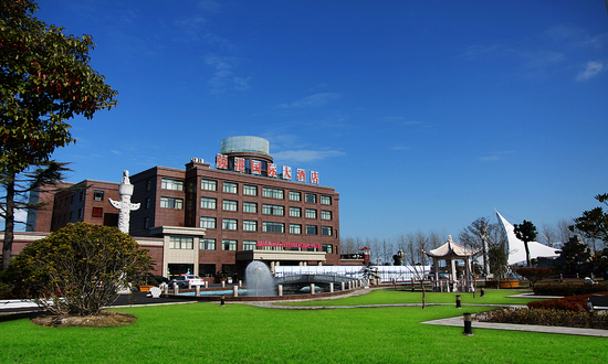 打开心扉森呼吸拥抱自然林距离