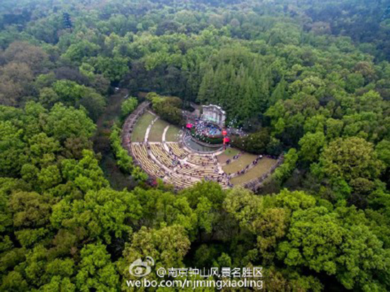 五月赏花去哪里 南京最全赏花攻略都在这了