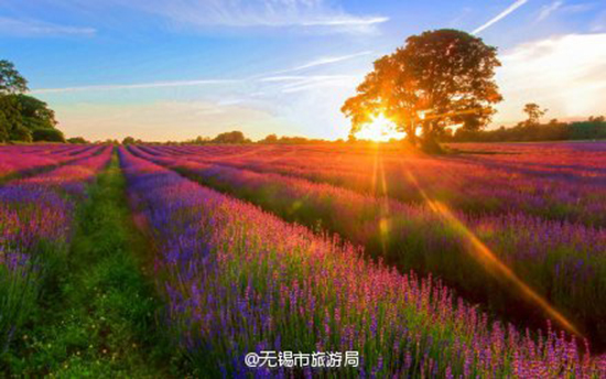 江苏这些小众婚纱照拍摄地 分分钟出大片的节