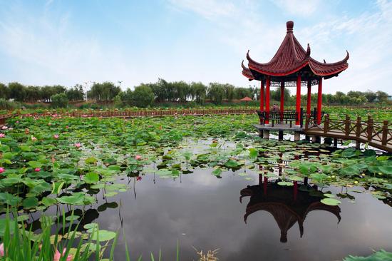 洪泽湖湿地 走进原始的生态天堂